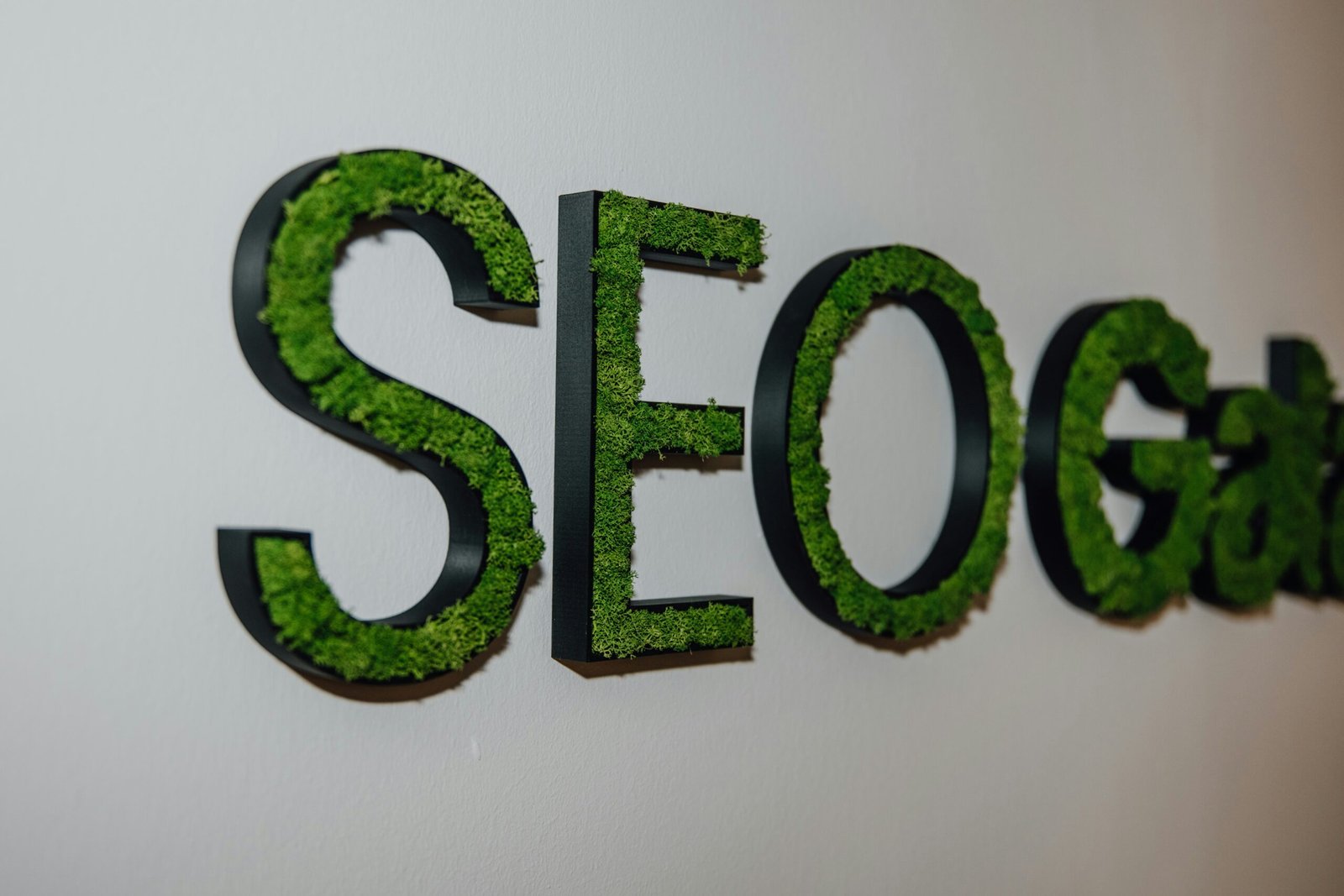 kurumsal seo danışmanlığı kurumsal seo danışmanlığı